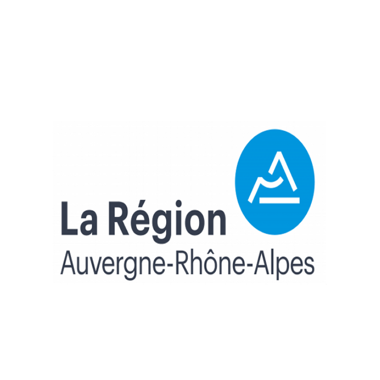 Écran sur mesure à l'Hôtel de Région Auvergne-Rhône-Alpes